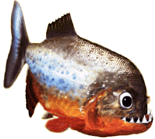 piranha.gif